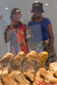 Museo preistorico con ossa di dinosauri